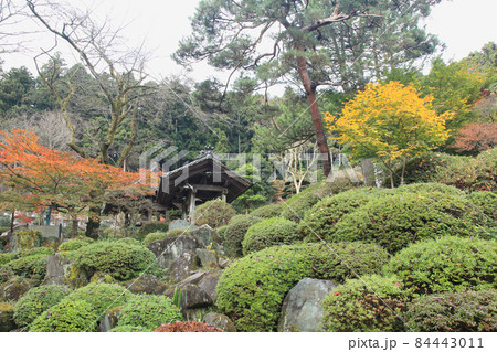 霊山院　紅葉 84443011