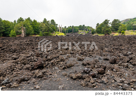 Mount Etna volcanic landscape and its typical vegetation, Sicily Mount Etna volcanic landscape and its typical vegetation, Sicily 84443375
