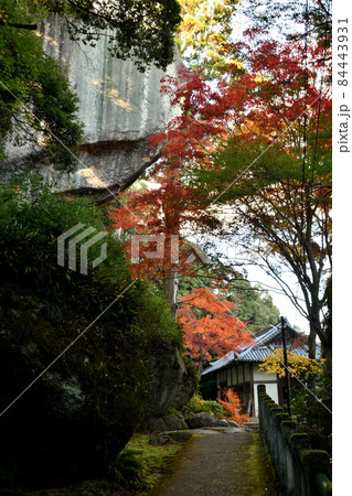 笠置寺本堂 正月堂の紅葉 京都府相楽郡笠置町 の写真素材