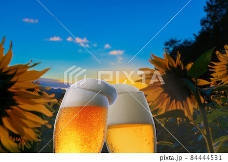ひまわりとビール ひまわりとビール 84444531