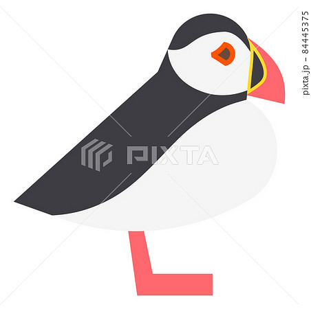 Arctic seabird. Sea parrot icon. Atlantic puffin bird Arctic seabird. Sea parrot icon. Atlantic puffin bird 84445375
