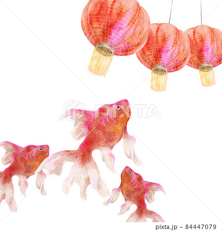 金魚と提灯の手描き水彩風イラスト 84447079