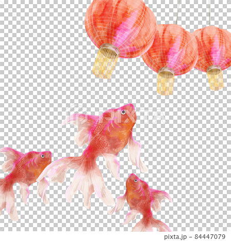 金魚と提灯の手描き水彩風イラスト 84447079