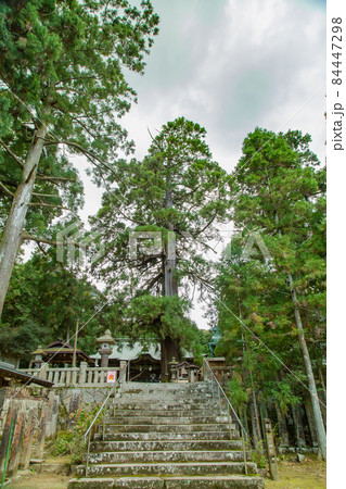 東かがわ市のパワースポット水主神社 84447298