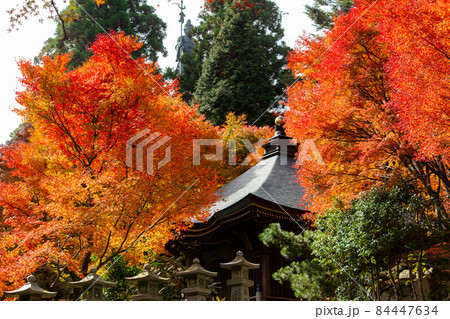 四国霊場第六十六番札所 紅葉の雲辺寺 四国霊場第六十六番札所 紅葉の雲辺寺 84447634