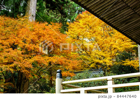 四国霊場第六十六番札所 紅葉の雲辺寺 四国霊場第六十六番札所 紅葉の雲辺寺 84447640