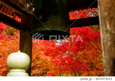 四国霊場第六十六番札所 紅葉の雲辺寺 四国霊場第六十六番札所 紅葉の雲辺寺 84447643