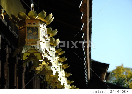 寺 寺 84449003