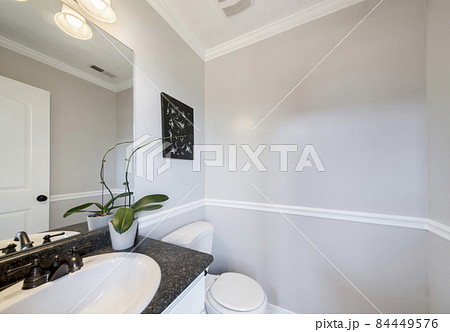 Minimalist powder room design with indoor flowerless orchid 84449576