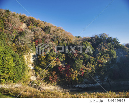 三島湖の紅葉 三島湖の紅葉 84449943