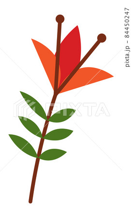 Cute red flower. Floral decorative pattern element Cute red flower. Floral decorative pattern element 84450247