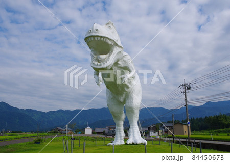 ホワイトザウルス 84450673