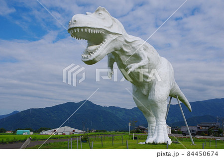 ホワイトザウルス 84450674