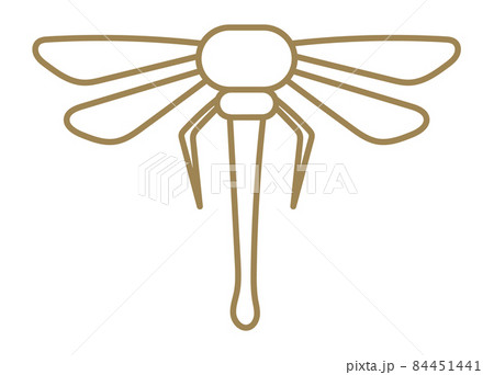 Dragonfly icon. Golden linear logo. Flight symbol 84451441