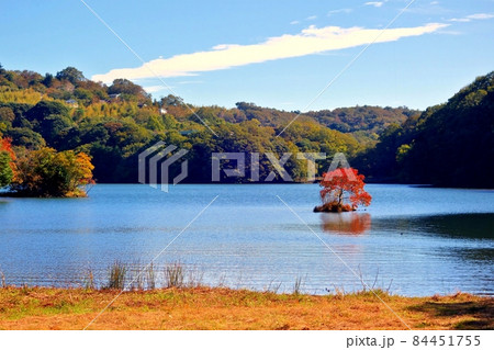 一碧湖 伊豆の瞳 10月の終わり 青い瞳 錦秋 一碧湖 伊豆の瞳 10月の終わり 青い瞳 錦秋 84451755