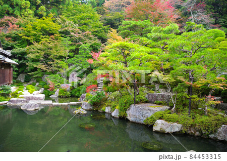 百済寺の風景 百済寺の風景 84453315