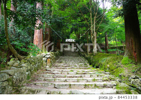 百済寺の風景 百済寺の風景 84453338
