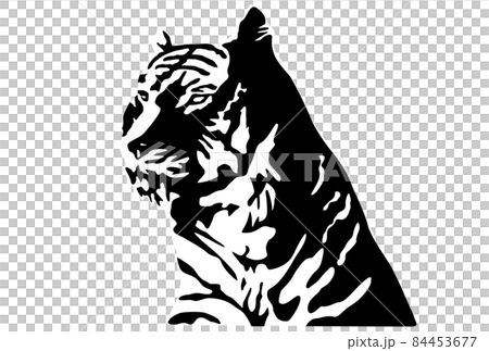 Tora-kun's monochrome face Tora-kun's monochrome face 84453677