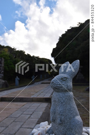 白兎神社参道　鳥取 84455320
