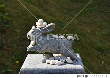 白兎神社参道　鳥取 84455324