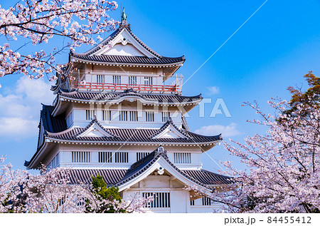 千葉城 亥鼻城 千葉市立郷土博物館 【 千葉 の 桜 の 名所 】 千葉城 亥鼻城 千葉市立郷土博物館 【 千葉 の 桜 の 名所 】 84455412