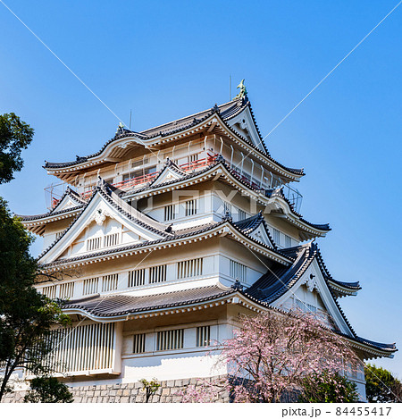 千葉城　亥鼻城　千葉市立郷土博物館　【 千葉 の 桜 の 名所 】 84455417