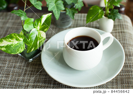 観葉植物とホットコーヒー 観葉植物とホットコーヒー 84456642