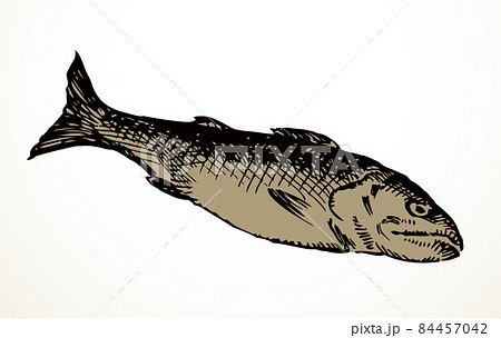 Vector fishes still life from the biblical story Vector fishes still life from the biblical story 84457042