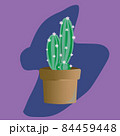 Cactus with flowers in clay pot. vector illustration 84459448