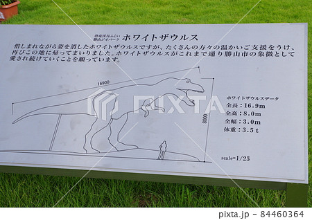 ホワイトザウルス案内板 ホワイトザウルス案内板 84460364