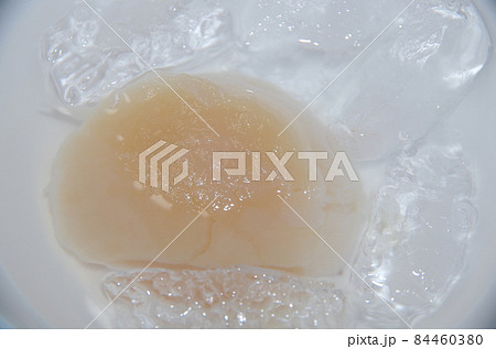 塩と氷を入れた器で冷凍の大きなホタテ貝柱(刺身用)を解凍している様子 塩と氷を入れた器で冷凍の大きなホタテ貝柱(刺身用)を解凍している様子 84460380