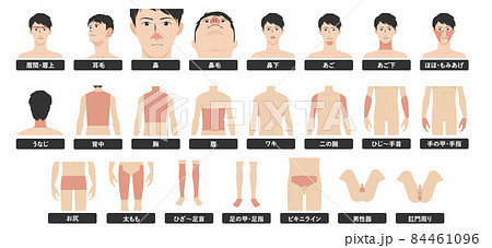 若いアジア人男性の脱毛エステの全身の箇所指示白バックのイメージイラスト図 84461096