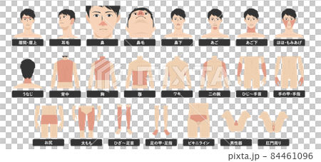 若いアジア人男性の脱毛エステの全身の箇所指示白バックのイメージイラスト図 84461096