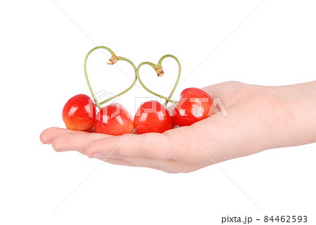 Pair of sweet cherry fruits with heart shaped stem on hand Pair of sweet cherry fruits with heart shaped stem on hand 84462593