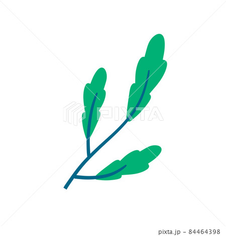 Branch with green leaves. Plant design. Element of wood and nature. Flat simple illustration Branch with green leaves. Plant design. Element of wood and nature. Flat simple illustration 84464398