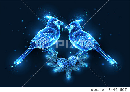 Merry Christmas digital greeting card template with couple of kissing birds and fir tree branches isolated on dark blue 84464607