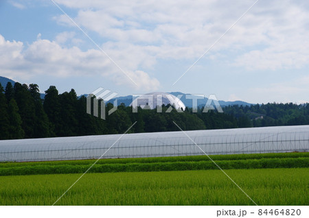 田園地帯から見る福井県立恐竜博物館 田園地帯から見る福井県立恐竜博物館 84464820
