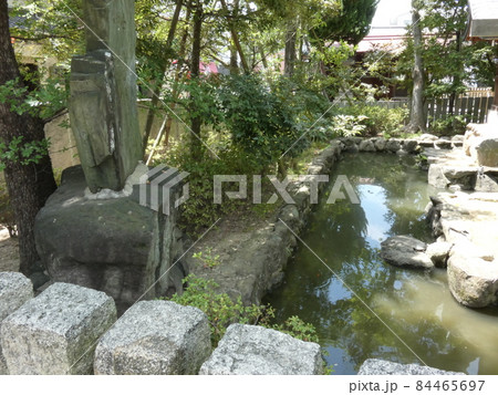 晴れた空を水面に映す水神社の池 【石切神社】 晴れた空を水面に映す水神社の池 【石切神社】 84465697