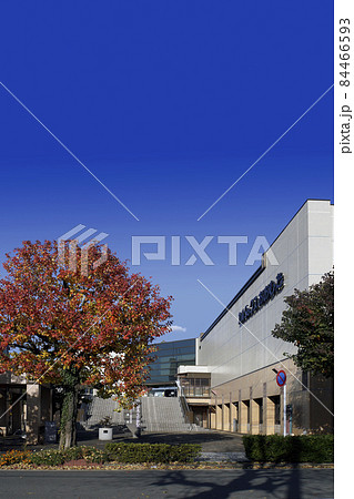 秋空のカルタックスおおむたと紅葉の街路樹 秋空のカルタックスおおむたと紅葉の街路樹 84466593