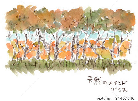 秋の風景、林道の中から見た紅葉。手描き水彩画イラスト 84467046
