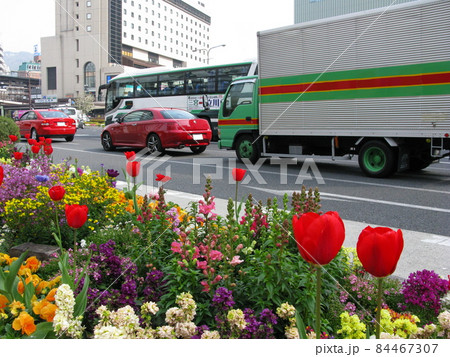 道路脇の春の花壇 84467307