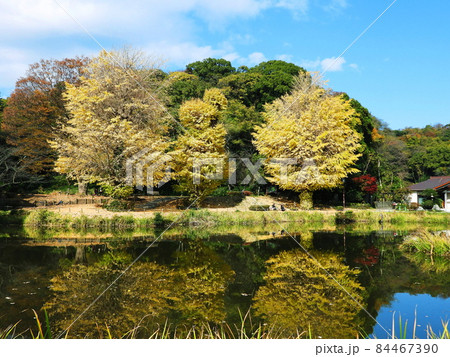 金沢文庫 称名寺　Shomyoji temple 84467390