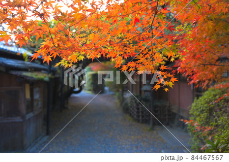 京都長岡天満宮の紅葉 84467567