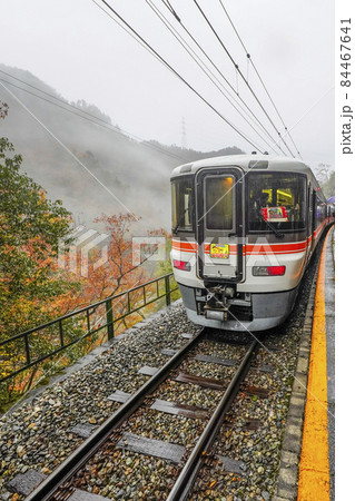 雨の秘境駅巡り、田本駅に停車中の飯田線秘境駅号 84467641