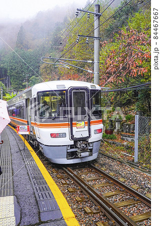 雨の秘境駅巡り、為栗駅に停車中の飯田線秘境駅号 84467667