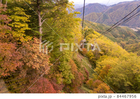 長野県阿智村 紅葉に包まれたヘブンスそのはらのゴンドラ 長野県阿智村 紅葉に包まれたヘブンスそのはらのゴンドラ 84467956