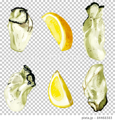 手描き水彩の生牡蠣とレモンイラストセット 84468383