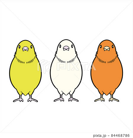 カナリア・Canaryのイラスト素材 [84468786] - PIXTA