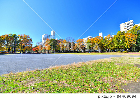 都立 東大和南公園／運動広場(東京都東大和市)【2021.11】 84469094