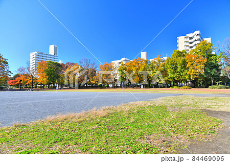 都立東大和南公園／運動広場(東京都東大和市)【2021.11】 84469096